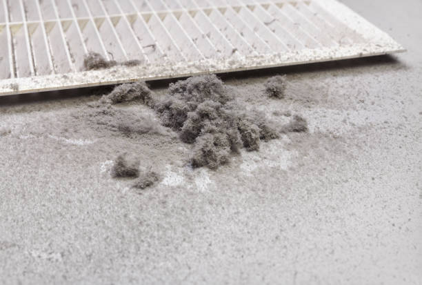 Best Professional Duct Cleaning Services  in Thompson Falls, MT