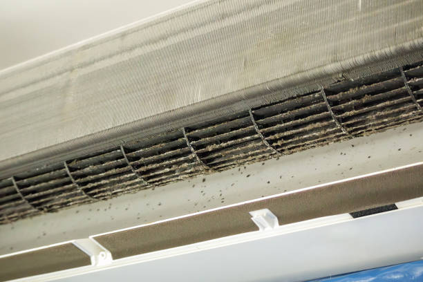 Best Best Air Duct Cleaning Company  in Thompson Falls, MT